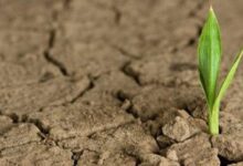 про надію - Надія є