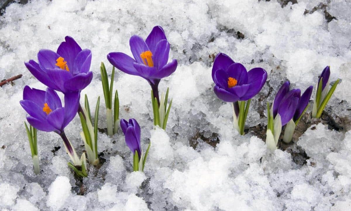 Привітання з Великоднем