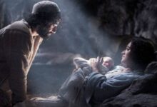 покладений у ясла