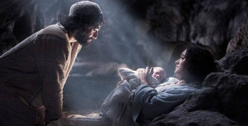 покладений у ясла