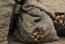 непрощення