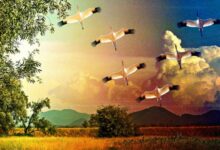 Царство Боже