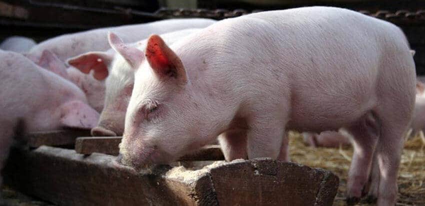 задоволення