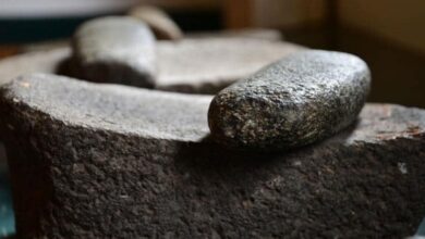 Археологічні відкриття