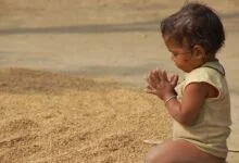 Щира вдячність