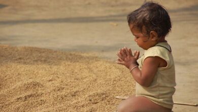 Щира вдячність