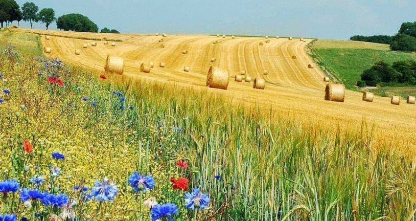 задоволення