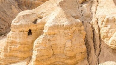 Сувої Мертвого моря