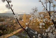 Христос Воскрес