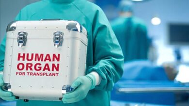 трансплантація