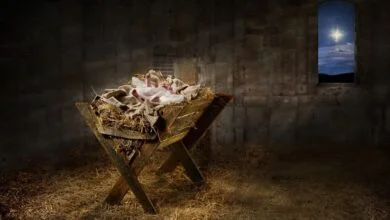 Реальність різдва - Ісус Господь