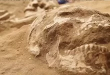 Филистимляни