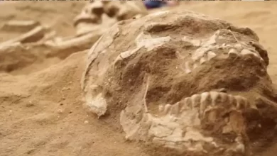 Филистимляни