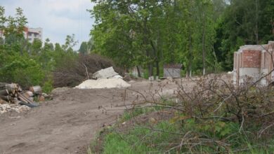 зелених насаджень