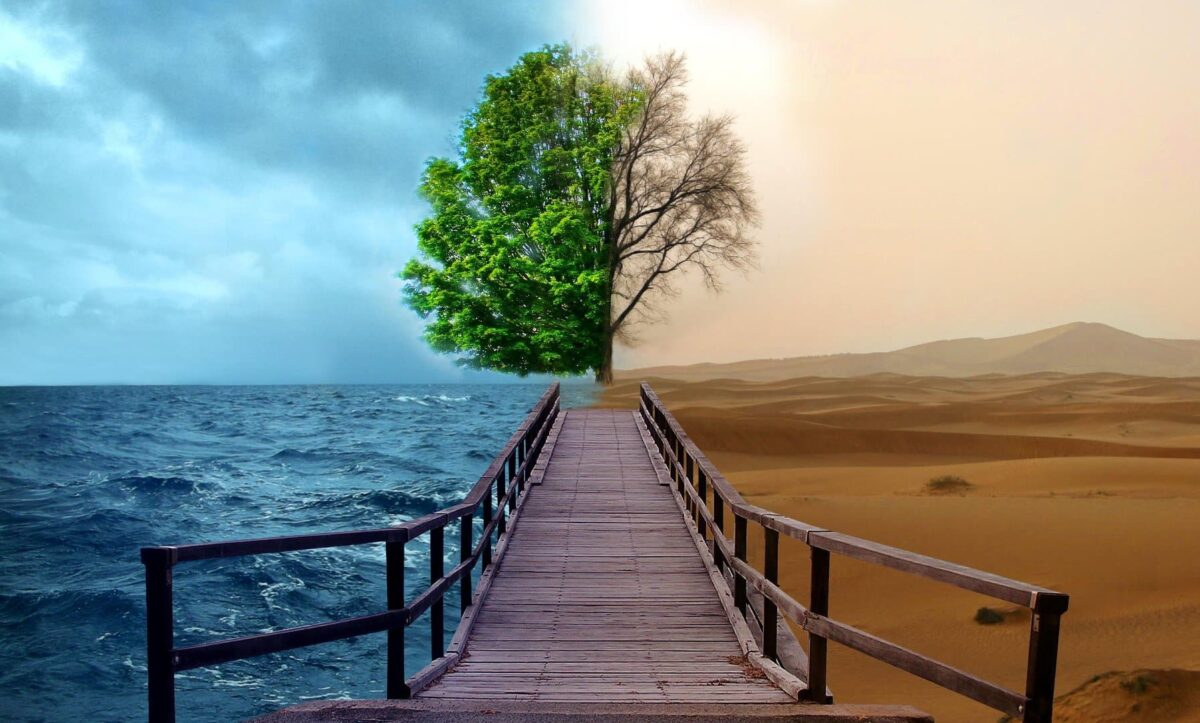 занепокоєння