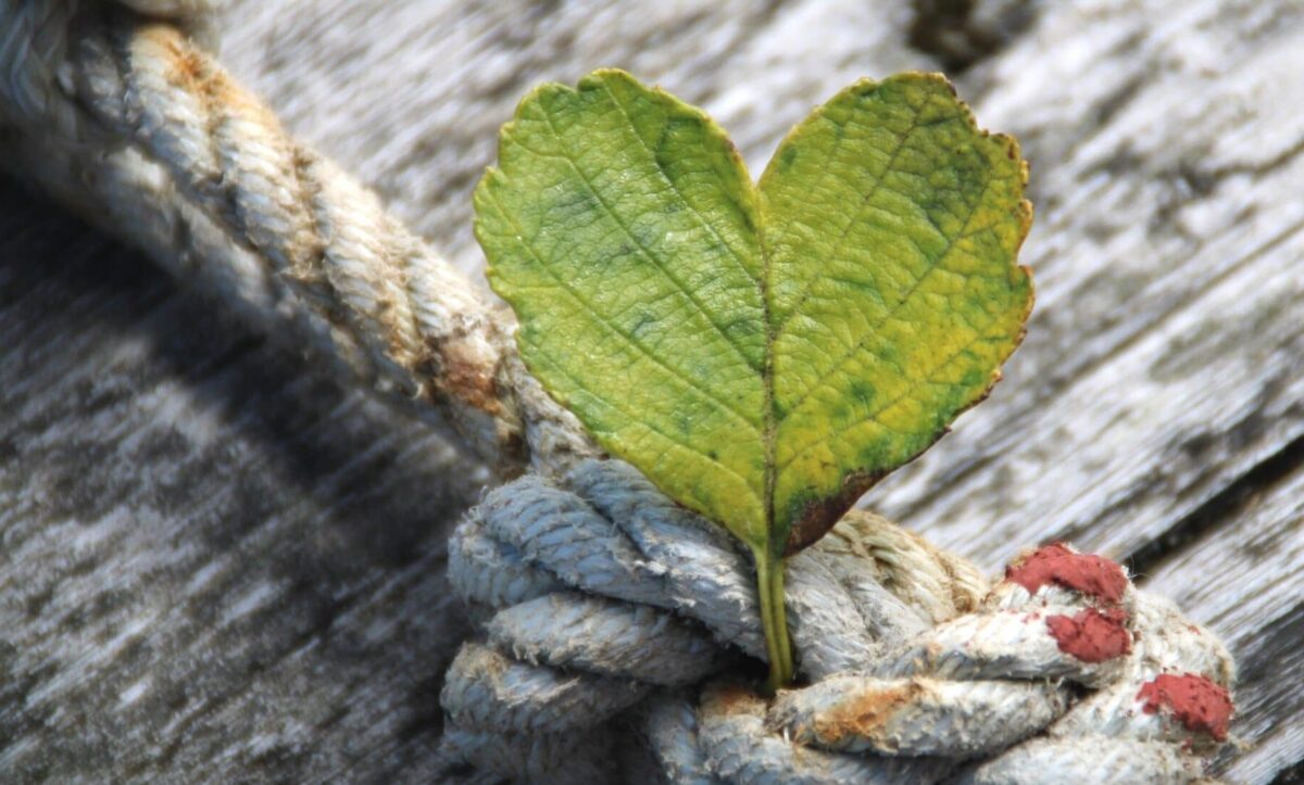 за що дякувати