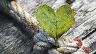 за що дякувати