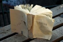 Сергій Косяк