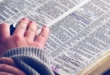 Всесвітнім роком Біблії