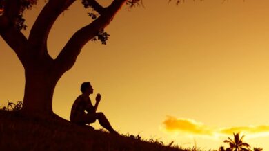 правда про себе