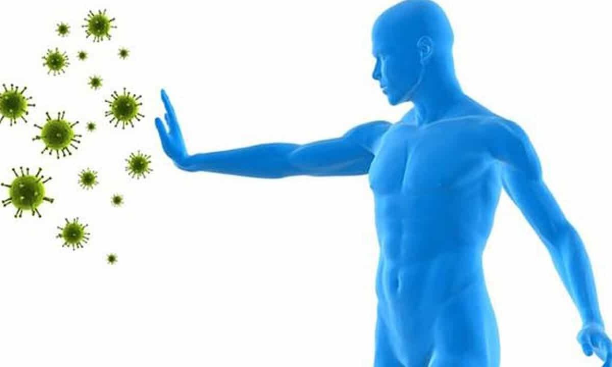 імунна система