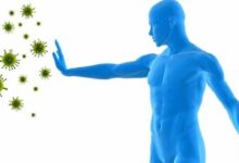 імунна система