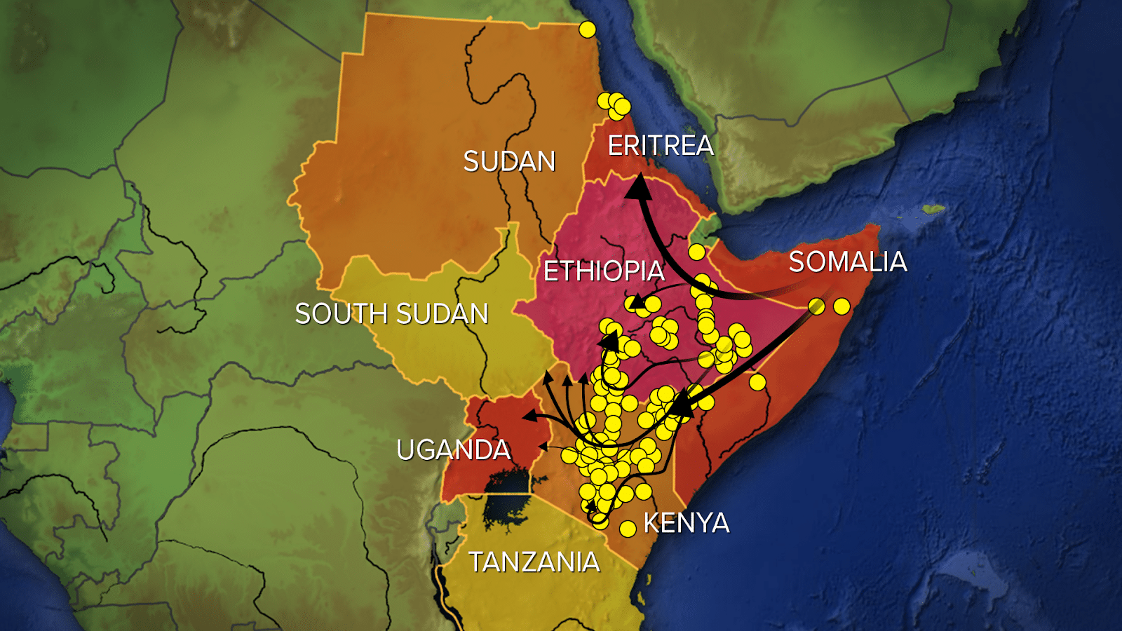 нашестя сарани