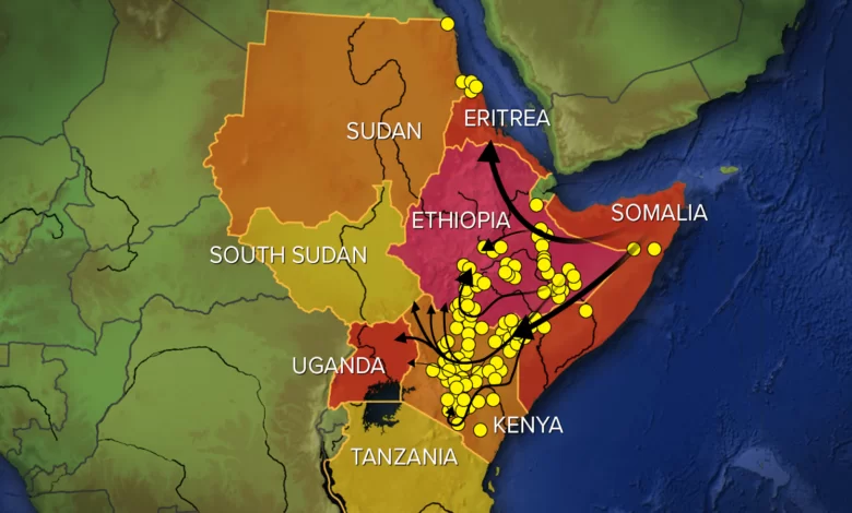 нашествия саранчи