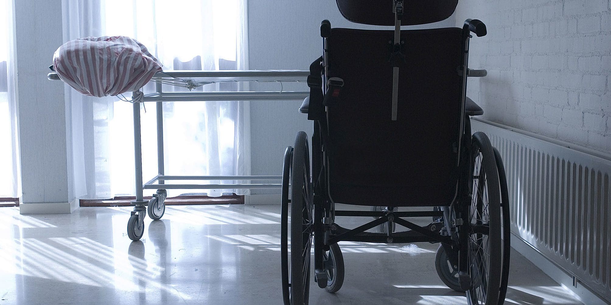 проведення евтаназії