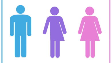 впровадження гендерних органів