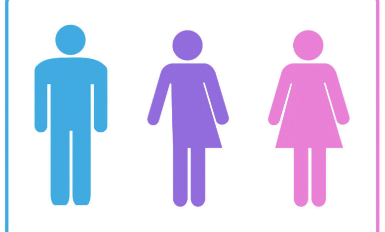 впровадження гендерних органів