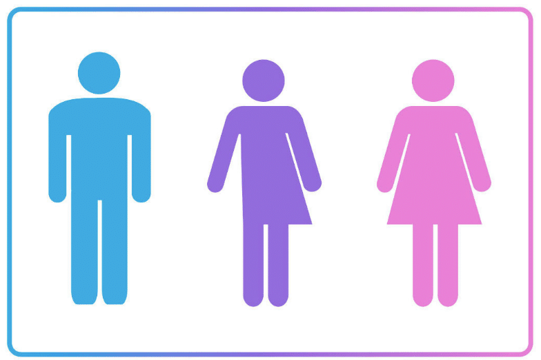 впровадження гендерних органів