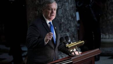 Марк Медоуз