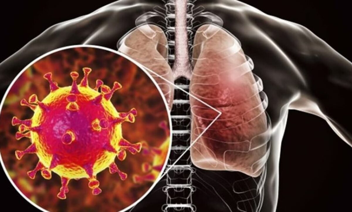 захворювання органів дихання