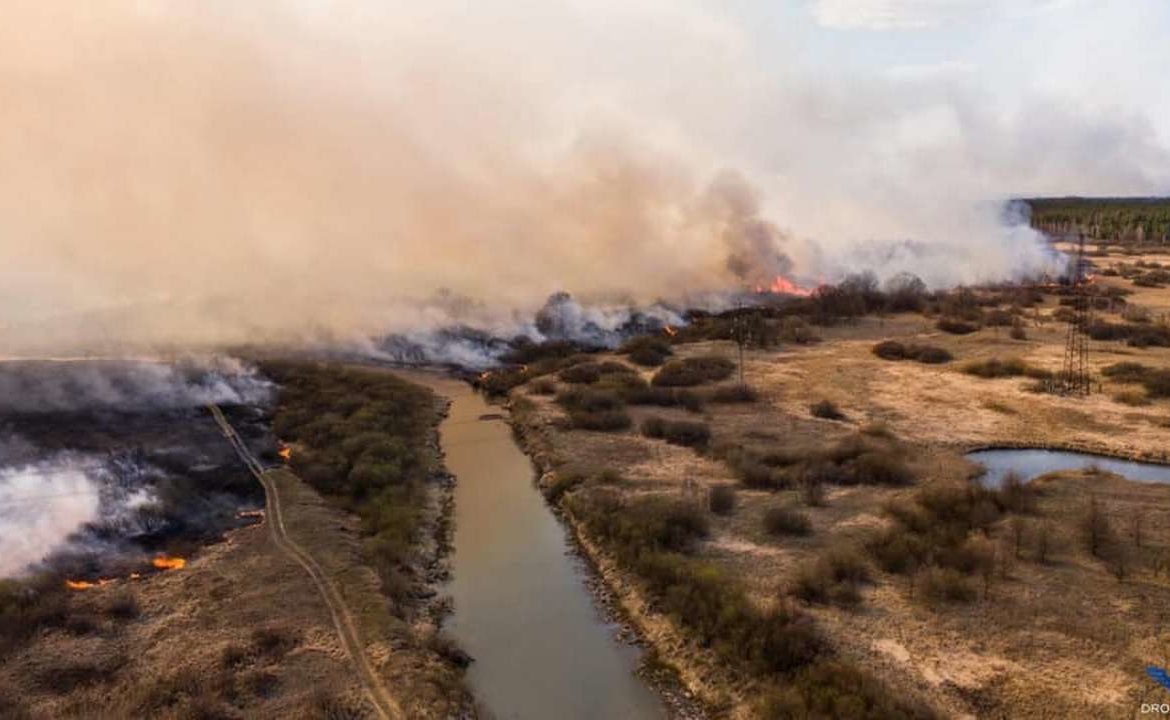 спалювання сухої трави