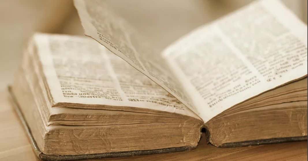 Новий Заповіт Негалевського