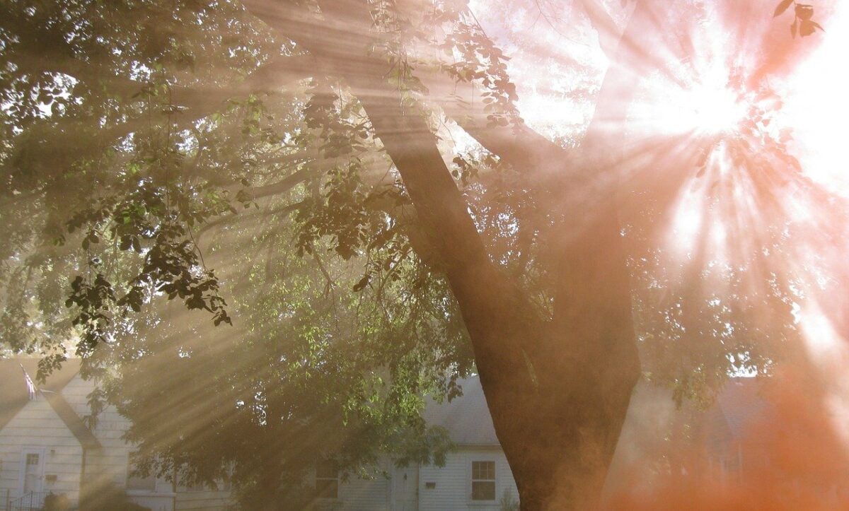 сонячиний день