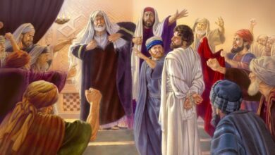 Прийняли рішення