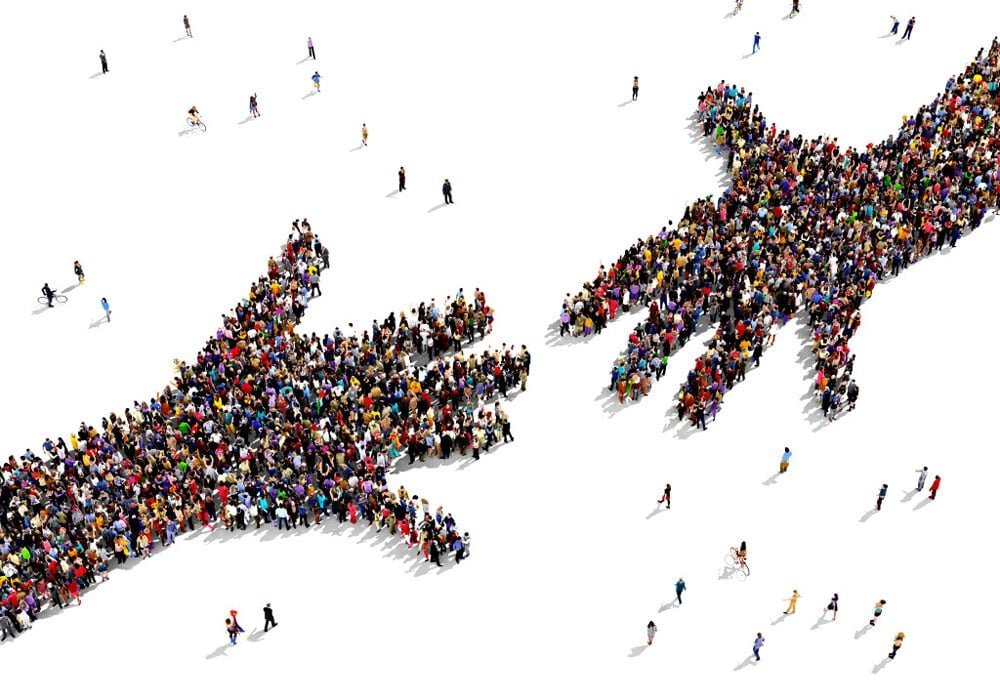 толерантність