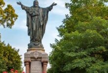 в університеті