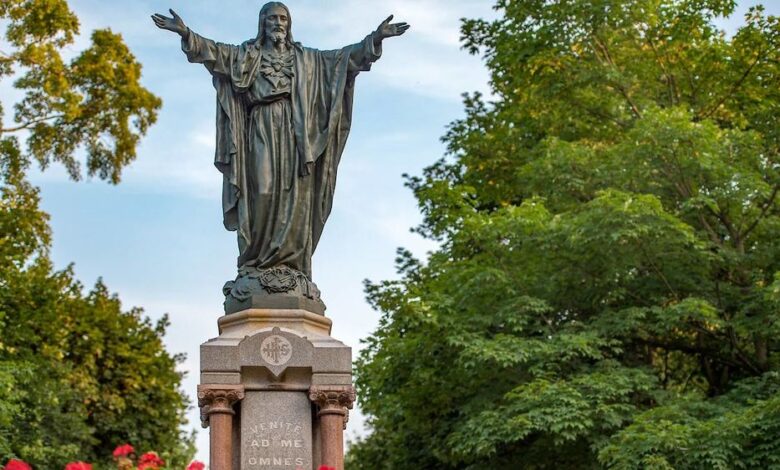 в університеті