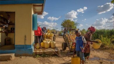 гуманітарна організація