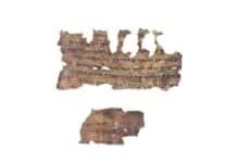 Сувої Мертвого моря ДНК