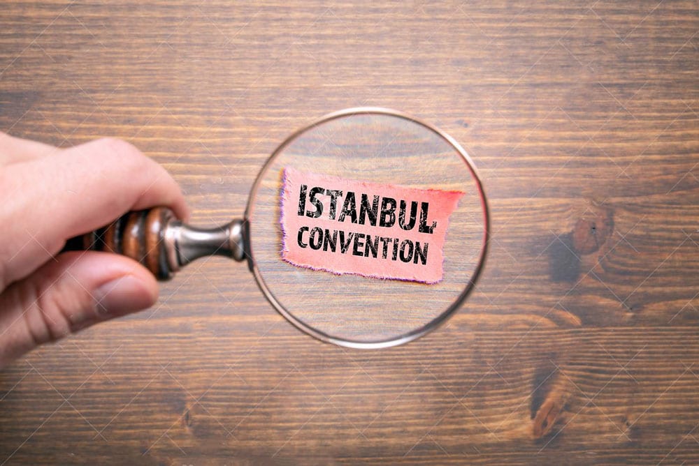про стамбульську конвенцію