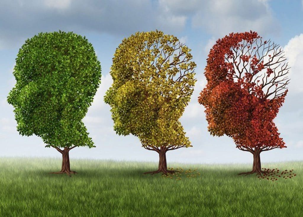 христианское сообщество