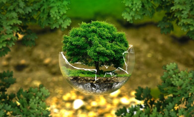 вплив на екологічну ситуацію в Україні