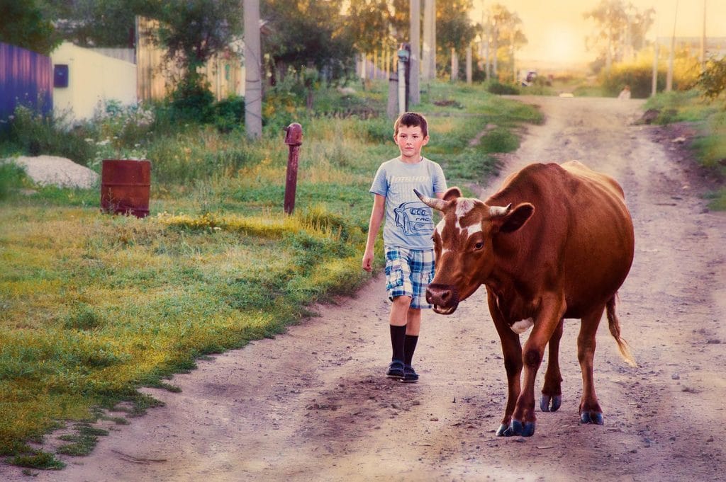 бути пастухом