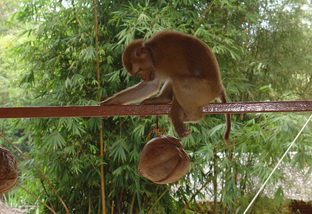 непрощення