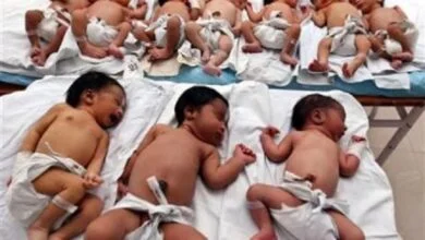 рівень народжуваності