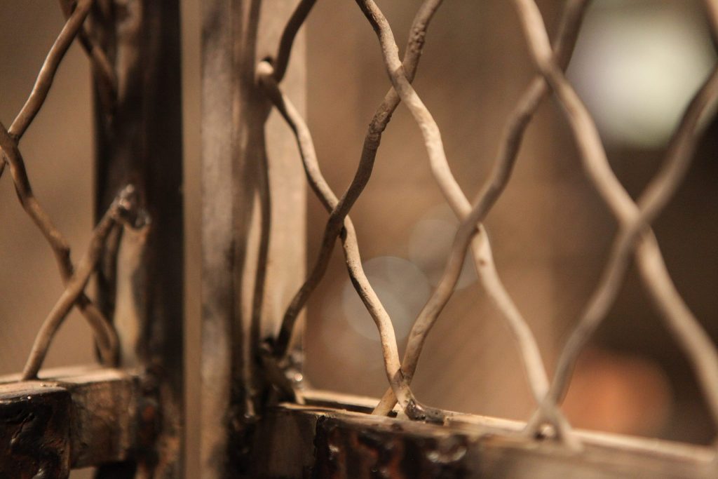 у Північній Кореї